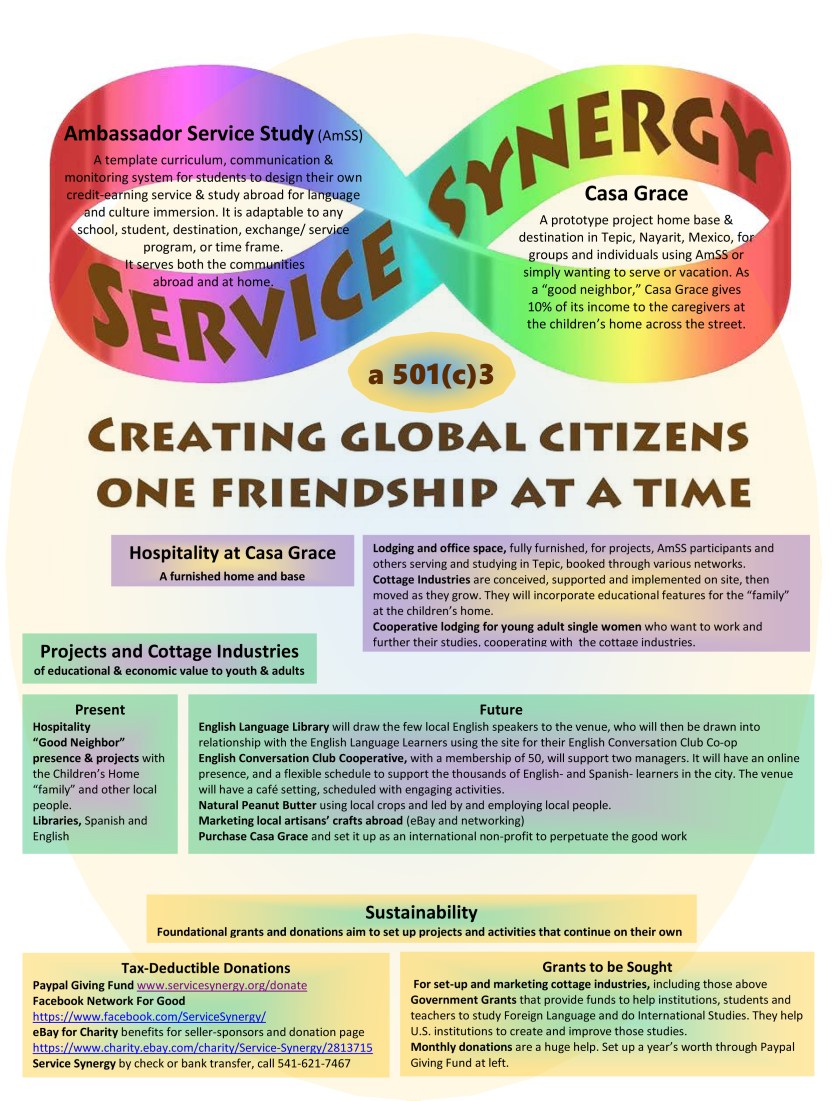 Service Synergy Organizational Chart 1
